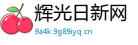 辉光日新网